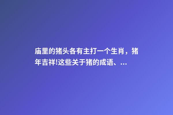 庙里的猪头各有主打一个生肖，猪年吉祥!这些关于猪的成语、俗语、歇后语-第1张-观点-玄机派