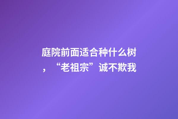 庭院前面适合种什么树，“老祖宗”诚不欺我-第1张-观点-玄机派