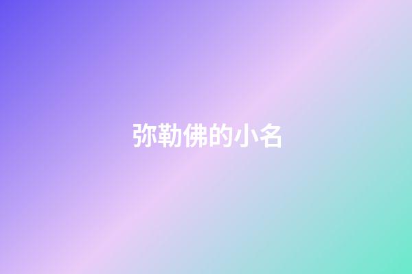 弥勒佛的小名(弥勒佛的小名是什么)-第1张-宝宝起名-玄机派