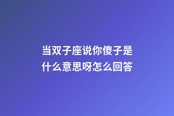 当双子座说你傻子是什么意思呀怎么回答-第1张-星座运势-玄机派