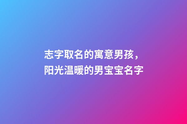 志字取名的寓意男孩，阳光温暖的男宝宝名字-第1张-观点-玄机派