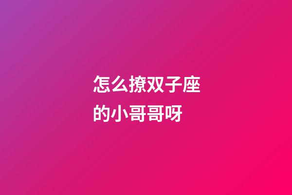 怎么撩双子座的小哥哥呀