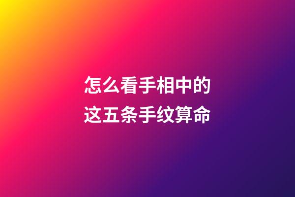 怎么看手相中的这五条手纹算命