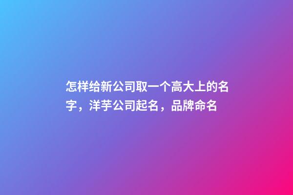 怎样给新公司取一个高大上的名字，洋芋公司起名，品牌命名-第1张-公司起名-玄机派