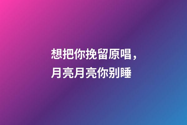 想把你挽留原唱，月亮月亮你别睡-第1张-观点-玄机派