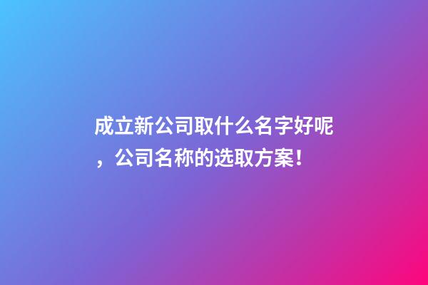 成立新公司取什么名字好呢，公司名称的选取方案！