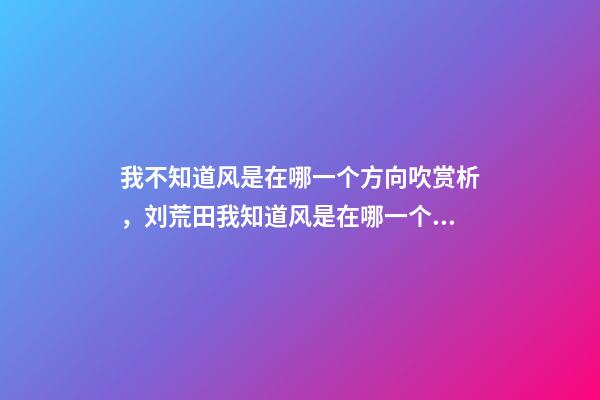 我不知道风是在哪一个方向吹赏析，刘荒田我知道风是在哪一个方向吹