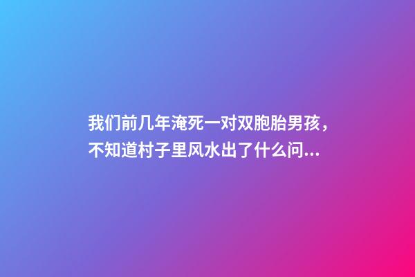 我们前几年淹死一对双胞胎男孩，不知道村子里风水出了什么问题导