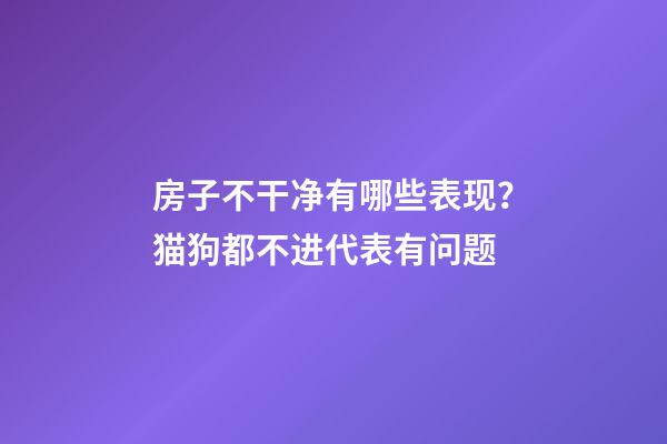 房子不干净有哪些表现？猫狗都不进代表有问题