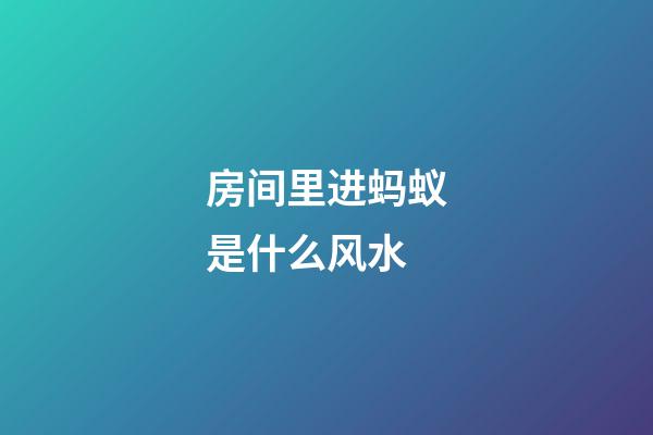 房间里进蚂蚁是什么风水