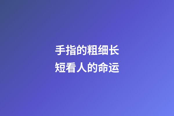 手指的粗细长短看人的命运