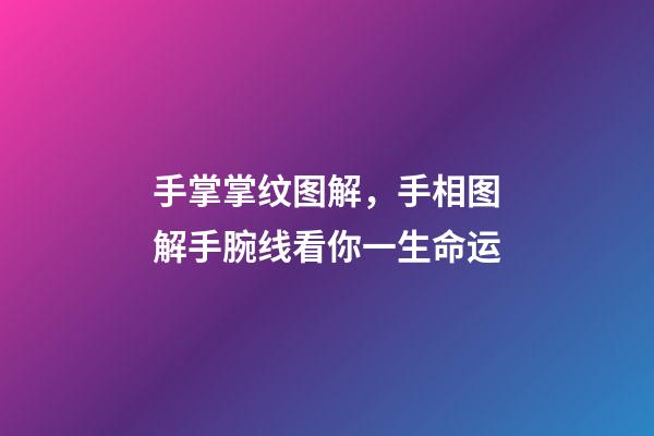 手掌掌纹图解，手相图解手腕线看你一生命运-第1张-观点-玄机派