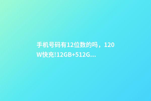 手机号码有12位数的吗，120W快充!12GB+512GB天玑9000+神机低至2799元-第1张-观点-玄机派