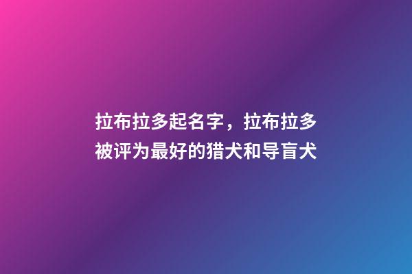 拉布拉多起名字，拉布拉多被评为最好的猎犬和导盲犬-第1张-观点-玄机派