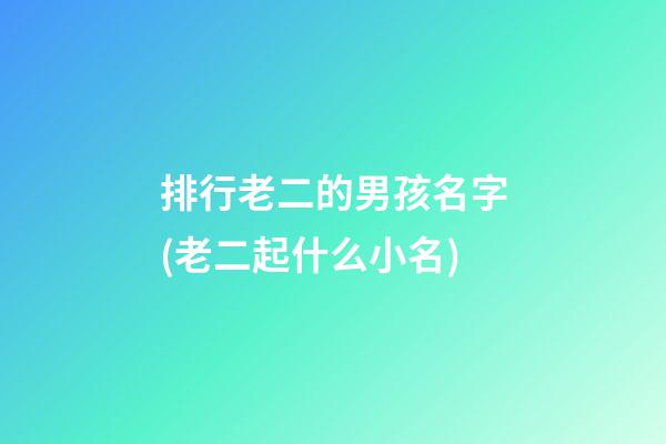 排行老二的男孩名字(老二起什么小名)