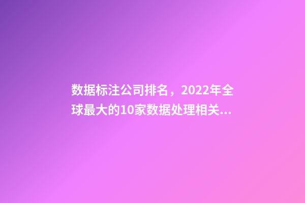 数据标注公司排名，2022年全球最大的10家数据处理相关的创业公司-第1张-观点-玄机派