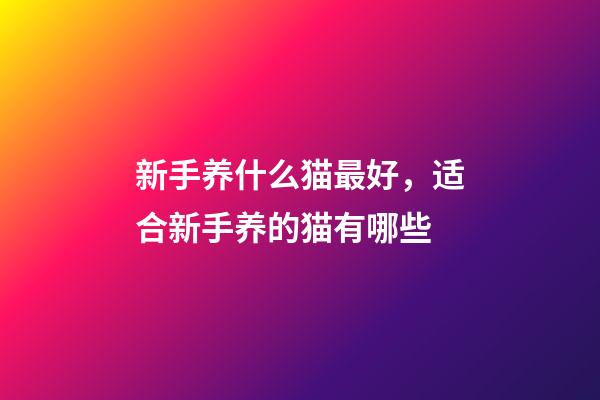 新手养什么猫最好，适合新手养的猫有哪些-第1张-观点-玄机派