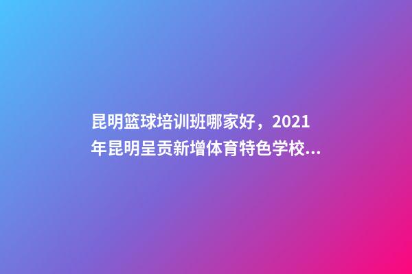 昆明篮球培训班哪家好，2021年昆明呈贡新增体育特色学校9所-第1张-观点-玄机派