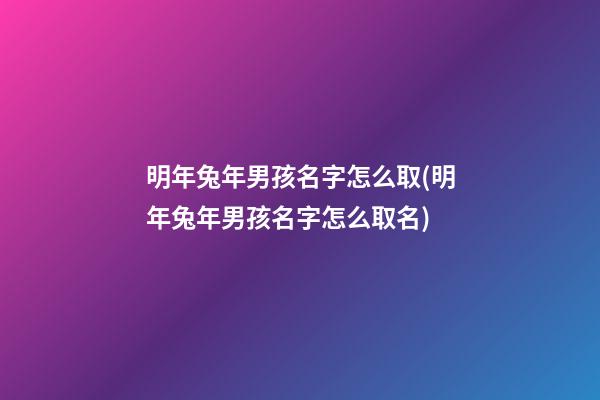 明年兔年男孩名字怎么取(明年兔年男孩名字怎么取名)