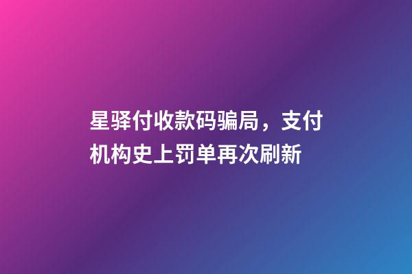 星驿付收款码骗局，支付机构史上罚单再次刷新-第1张-观点-玄机派