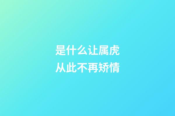 是什么让属虎从此不再矫情