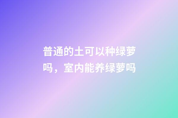 普通的土可以种绿萝吗，室内能养绿萝吗-第1张-观点-玄机派