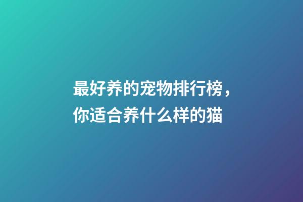 最好养的宠物排行榜，你适合养什么样的猫-第1张-观点-玄机派