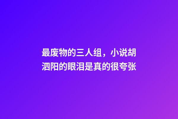 最废物的三人组，小说胡泗阳的眼泪是真的很夸张