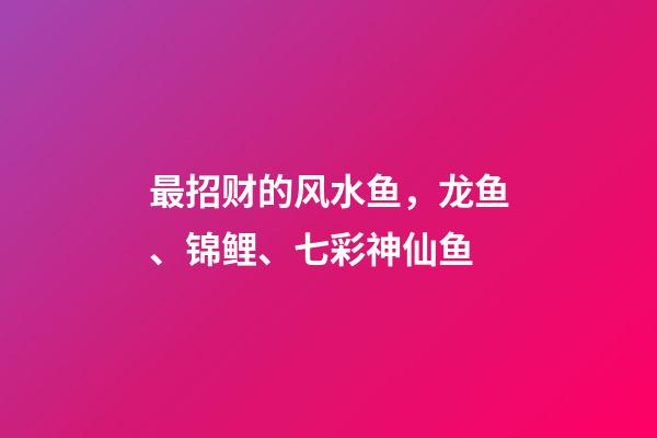 最招财的风水鱼，龙鱼、锦鲤、七彩神仙鱼