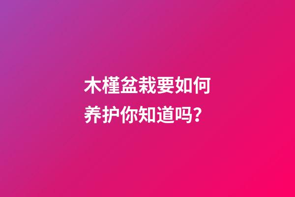 木槿盆栽要如何养护你知道吗？