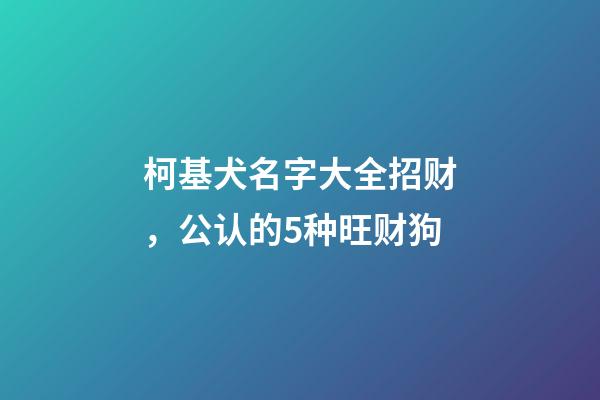 柯基犬名字大全招财，公认的5种旺财狗-第1张-观点-玄机派