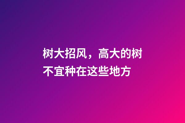 树大招风，高大的树不宜种在这些地方