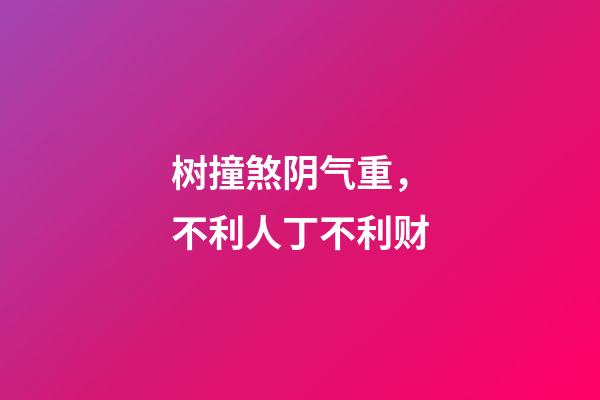 树撞煞阴气重，不利人丁不利财