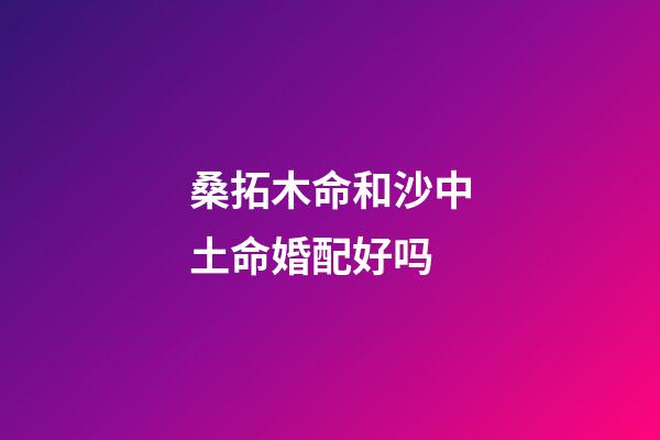 桑拓木命和沙中土命婚配好吗