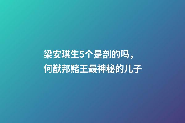 梁安琪生5个是剖的吗，何猷邦赌王最神秘的儿子-第1张-观点-玄机派