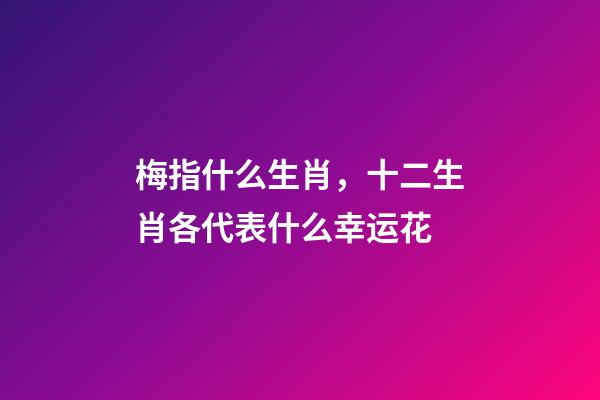 梅指什么生肖，十二生肖各代表什么幸运花-第1张-观点-玄机派