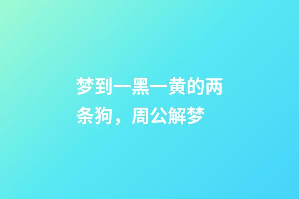 梦到一黑一黄的两条狗，周公解梦-第1张-观点-玄机派