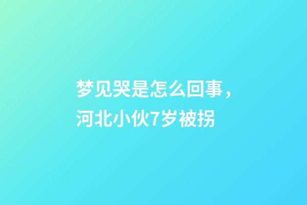 梦见哭是怎么回事，河北小伙7岁被拐-第1张-观点-玄机派