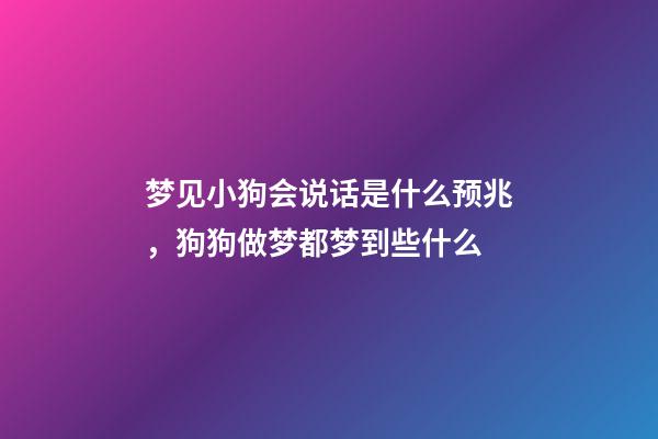 梦见小狗会说话是什么预兆，狗狗做梦都梦到些什么-第1张-观点-玄机派