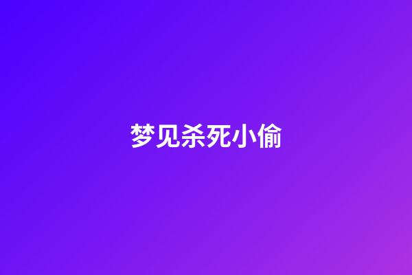 梦见杀死小偷