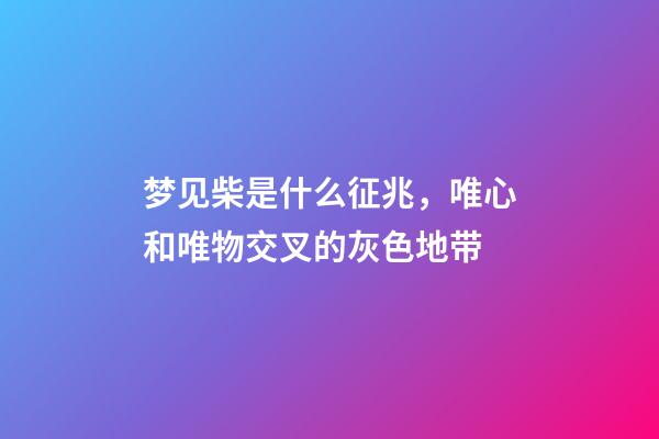 梦见柴是什么征兆，唯心和唯物交叉的灰色地带-第1张-观点-玄机派