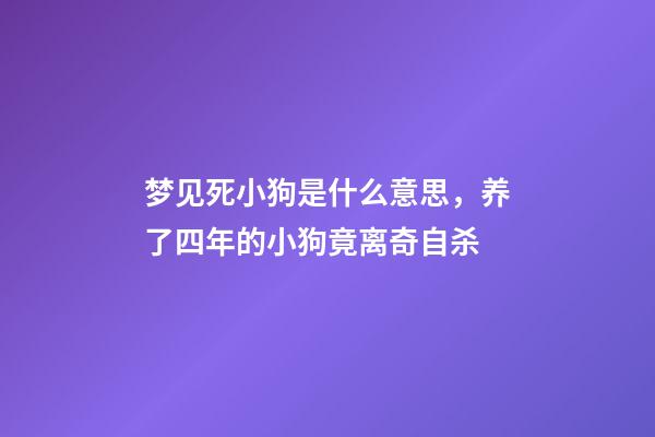 梦见死小狗是什么意思，养了四年的小狗竟离奇自杀-第1张-观点-玄机派