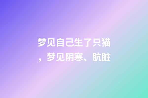 梦见自己生了只猫，梦见阴寒、肮脏-第1张-观点-玄机派