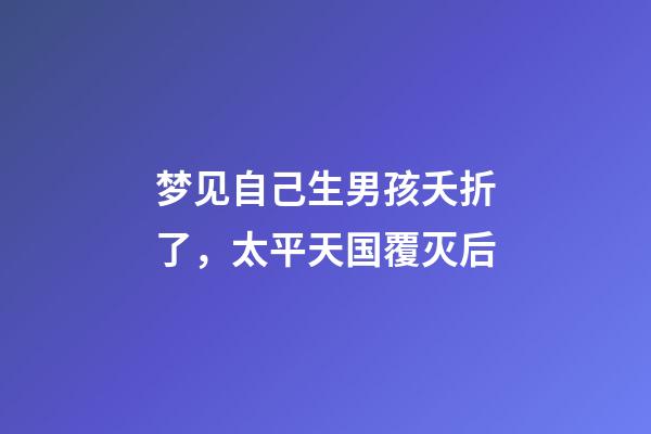 梦见自己生男孩夭折了，太平天国覆灭后-第1张-观点-玄机派