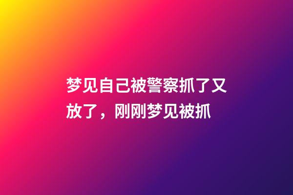 梦见自己被警察抓了又放了，刚刚梦见被抓-第1张-观点-玄机派