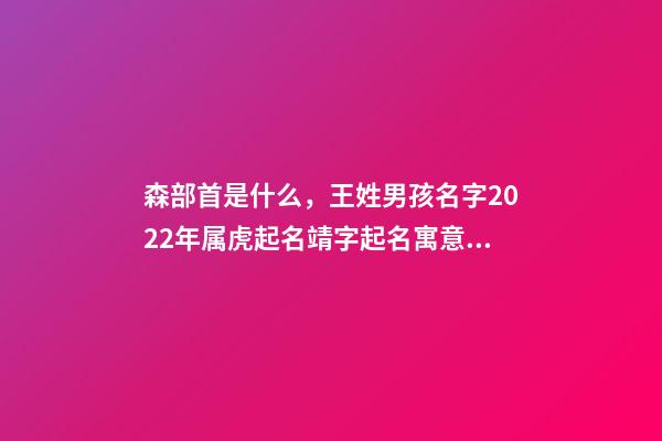 森部首是什么，王姓男孩名字2022年属虎起名靖字起名寓意蒸蒸日上的名字-第1张-观点-玄机派