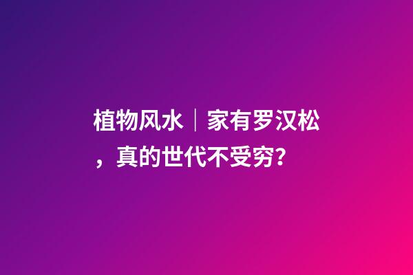 植物风水｜家有罗汉松，真的世代不受穷？