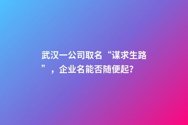 武汉一公司取名“谋求生路”，企业名能否随便起？-第1张-公司起名-玄机派