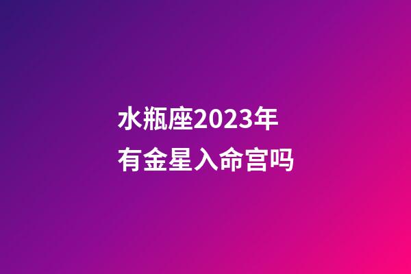 水瓶座2023年有金星入命宫吗-第1张-星座运势-玄机派