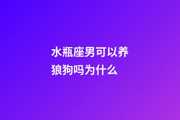 水瓶座男可以养狼狗吗为什么-第1张-星座运势-玄机派